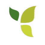 icon e removebg preview